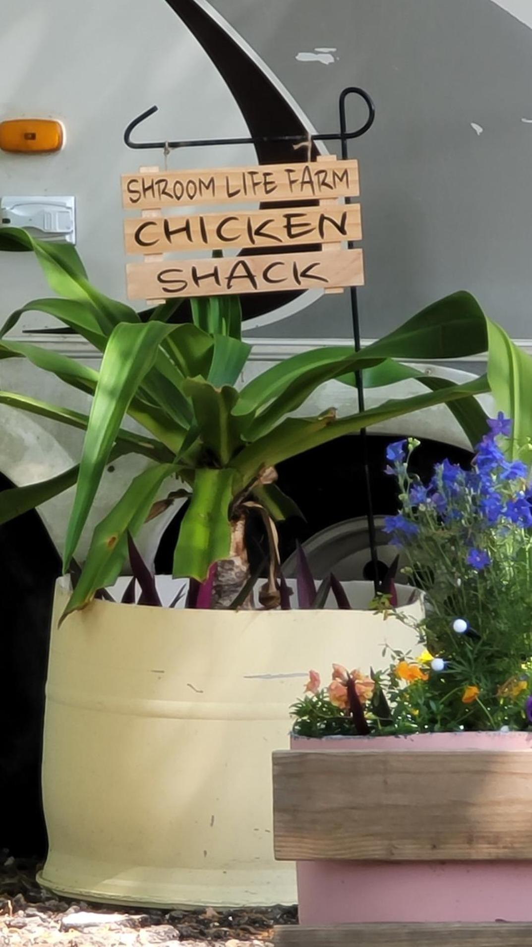 Shroom Life Farm Chicken Shack ノース・フォート・マイヤーズ エクステリア 写真