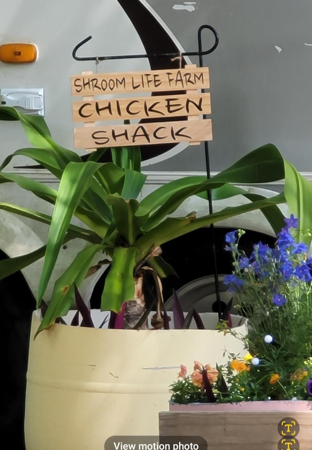 Shroom Life Farm Chicken Shack ノース・フォート・マイヤーズ エクステリア 写真