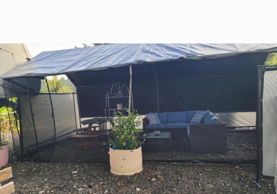 Shroom Life Farm Chicken Shack ノース・フォート・マイヤーズ エクステリア 写真
